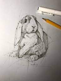 Pin On Things To Sketch Draw