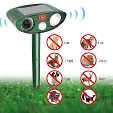 Ces petits félins à l'instinct prédateur pourraient passer des heures à y chasser des lézards, mulots, campagnols, rats, souris ou insectes. Repulsif Ultrason Solaire Animaux Anti Chats Chiens Protection Interieur Et Exterieur Pour Repousser Animaux Nuisibles Protecteur D Achat Vente Repulsif Nuisibles Jardin Repulsif Ultrason Solaire Anim Cdiscount