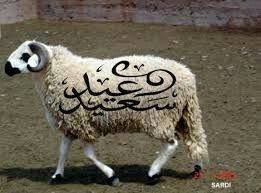 Muslims around the world observe this event. Pin On Fete Du Mouton