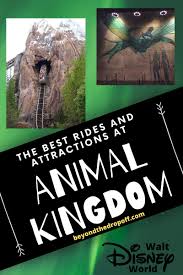 Top 6 Animal Kingdom Attractions In 2020 Animal Kingdom Disney Disney World Rides Animal Kingdom Attractions