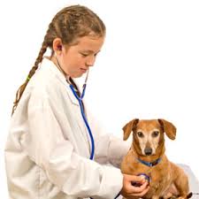 How long is vet school? Why Many Veterinarians Want Their Kids To Choose A Different Career