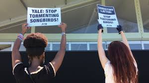 Image result for peta protests