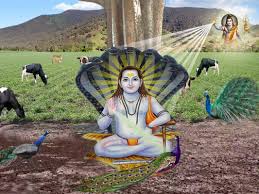 Baba balaknath history of baba balak nath ji : 41 Units Of Beautiful Wallpaper Free Download Baba Balak Nath Ji Live 1024x768 Wallpaper Teahub Io