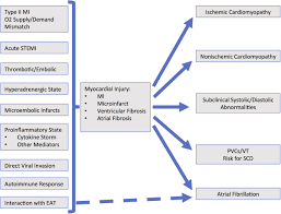 Am j med case rep. Covid 19 Cardiac Injury Implications For Long Term Surveillance And Outcomes In Survivors Heart Rhythm
