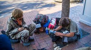 Image result for Montinia