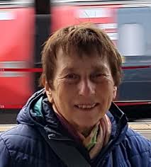 Challenges in biological cryo electron microscopy Faraday Discussion