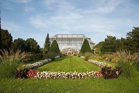 Der botanischer garten in berlin ist der größte seiner art in deutschland. Botanischer Garten Berlin Die Geschichte Christmas Garden Magazin