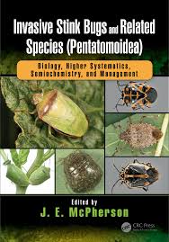 À propossolution bug applis qui plantent sur android (23 mars 2021) Pdf Nezara Viridula L