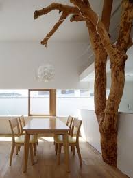 Haus Im Garten Um Baum Aufgebaut Minimalistisches Design Baum Innen Haus Innengarten