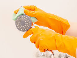 There are alot of kind of mold. How To Clean And Unclog A Shower Head