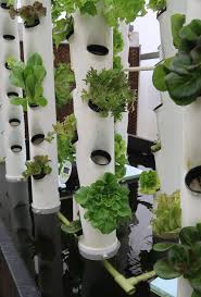 Image gallery homemade hydroponic tower garden. Vertical Growth Arkansan S Hydroponic Towers Make Gardening More Efficient