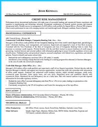 credit risk analyst resume free