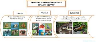 Untuk lebih jelasnya lagi simaklah pembahasan kami mengenai materi vivipar mulai dari pengertian vivipar, ciri ciri hewan vivipar, cara perkembangbiakan hewan vivipar, dan contoh hewan vivipar di bawah. Perkembangbiakan Hewan Secara Generatif Dan Vegetatif Animal Breeding Berbagaireviews Com