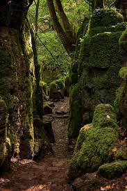 Check spelling or type a new query. Puzzlewood Trip Advisor Wonders Of The World Nature Photography