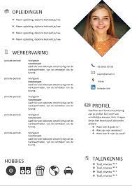 Pin On Cv Voorbeelden