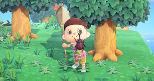It is an expensive insect, selling for 6,000 bells. Acnh Rare Fish Bugs List How To Catch Animal Crossing Gamewith
