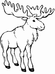 Make moose and zee printables and moose coloring pages together. Moose Printables For Preschoolers Google Search Coloring Pages For Kids Coloring Pages Colouring Pages