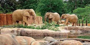 Riverbanks Zoo Columbia Sc Riverbank Zoo Riverbank South Carolina