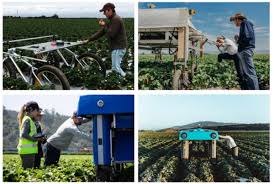 The project is focused on sustainable food production and farming at large scales, with goal of using hardw. Alphabet S Latest X Project A Crop Sniffing Plant Buggy