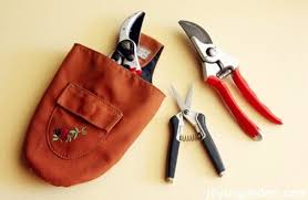 Dip a stiff brush into the soapy water. A Quick And Easy Way To Clean And Sharpen Your Pruners