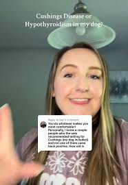 How to Run A Cushings Test