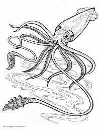 Use this lesson in your classroom, homeschooling curriculum or just as a fun kids activity that you as a parent can do. Squid Sea Animals For Kids Coloring Pages Printable Com