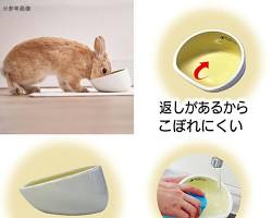 ジェックス うさぎの陶器製食器の画像