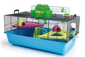 Here you could read about how big should a dwarf hamster cage be. Best Hamster Cages All Bloggers Den Best Products Comparisons Hamster Cages Large Hamster Cages Cool Hamster Cages