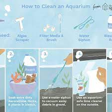 How To Clean A Dirty Fish Tank The Right Way