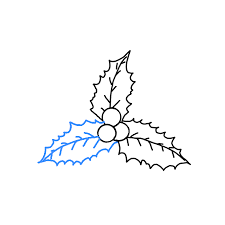 We did not find results for: How To Draw Mistletoe Step By Step Easy Drawing Guides Drawing Howtos