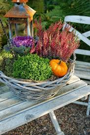 Herbstdeko Diy Inspirationen Herbst Diy Basteln Natur Helloween Deko Herbst Dekoration Blumen Im Blumentopf Herbst Dekor