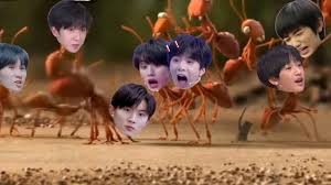 Times Youth League | TNT united - BiliBili