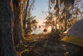 Finding camping in florida in the winter can be a challenge. Free Camping In Florida Tips For Saving Green In The Sunshine State