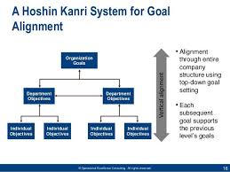 Operational Excellence Consulting All Rights Reserved 16 A Hoshin Kanri System For Goal Alignm Operational Excellence Company Structure Business Strategy