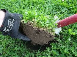 Soils with high levels of mineralization interfere with the em field generated by a metal detector. Cut The Perfect Plug When Digging Metal Detecting Life