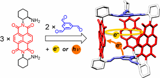Pin On Luminescence