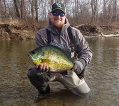 New Record A Bluegill Weighing 6 Pounds 8 Ounces Was Caught In Obion County Tennessee By Angler Harry Mccracken The Bluegill Was Cau Bluegill Fish Big Fish