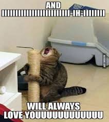 20 Funny Animal Pictures That You Can Not Promise Not To Laugh Viral Animal Humor Funny Cat Memes Funny Animal Quotes Cute Animal Memes