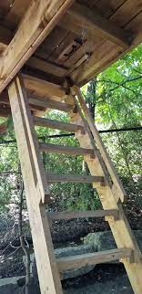 You'll feel like a soldier straight out of black hawk down using one of these. Ladder To Trap Door Tree House Diy Tree House Plans Tree House Kids