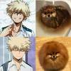 Bakugou katsuki still angry, still the best. 1