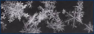 Black And White Facebook Cover Snowflake Winter Black And White Simple Facebook Timeline Cover Photo Winter Cover Photos Cover Photos Fb Cover Photos