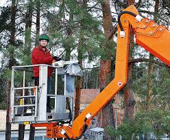 Ihr anspruch ist unsere leidenschaft! Eichwalder Baumdienst Torsten Braun Garten Und Landschaftsbau In Zeuthen Www Zeuthen Internet De