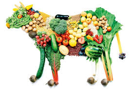 Combinare sempre gli alimenti vegetali ricchi di ferro con la vitamina c (ad esempio un bicchiere di succo d arancia). Consigli Per L Alimentazione Dell Atleta Vegetariano E Vegano