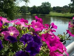 See why huntsville, al is nicknamed rocket city. News Flash Montgomery Il Civicengage