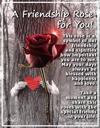 3 ) this is a magical friendship rose. Red Rose For Friend Quotes Quotesgram