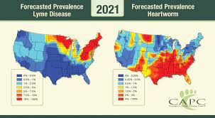 Lyme Disease Map 2021 Parasites Pose Greater Risk To Pets In 2021 | American Veterinary Medical  Association