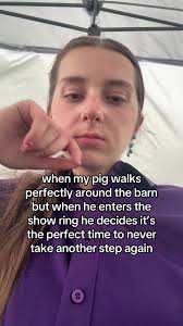 Showing Livestock: A Pig's Performance in the Ring