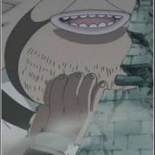 Sanjuan wolf miembro de la tripulación de los piratas de barbanegra. Wolf Sanjuan One Piece Myanimelist Net