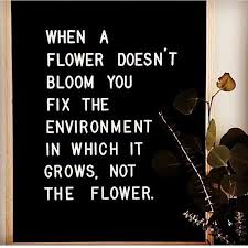 New Environment Who 'Dis ? | Positive quotes, Inspirational quotes motivation, Great inspirational quotes