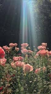 Nature Landscape Photography Flowers Travel 21 New Ideas Nature Photography Flowers Summer Nature Photography Landscape Photography Trees